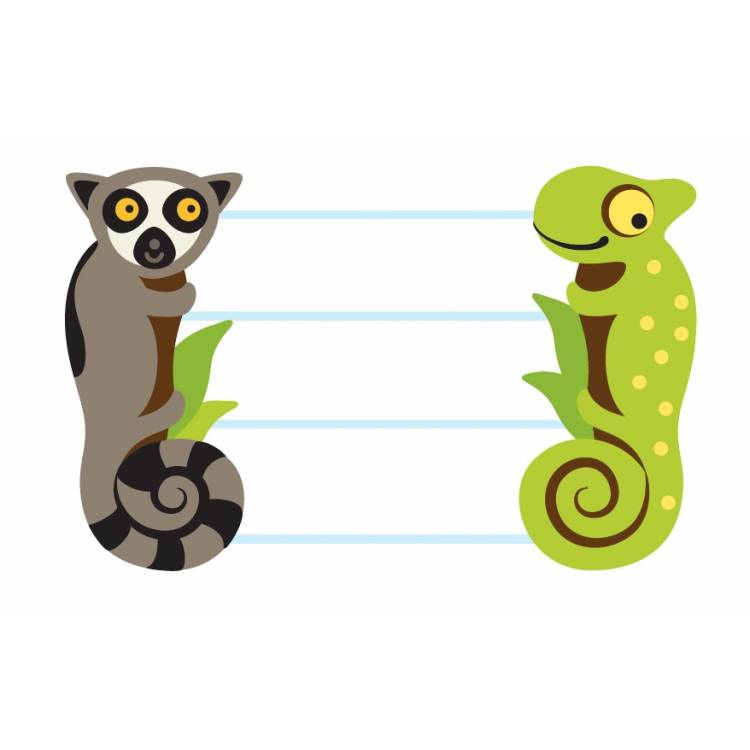 Lemur, Chameleon