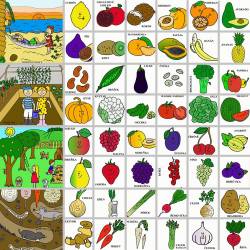 Naučné karty - Ovoce a zelenina